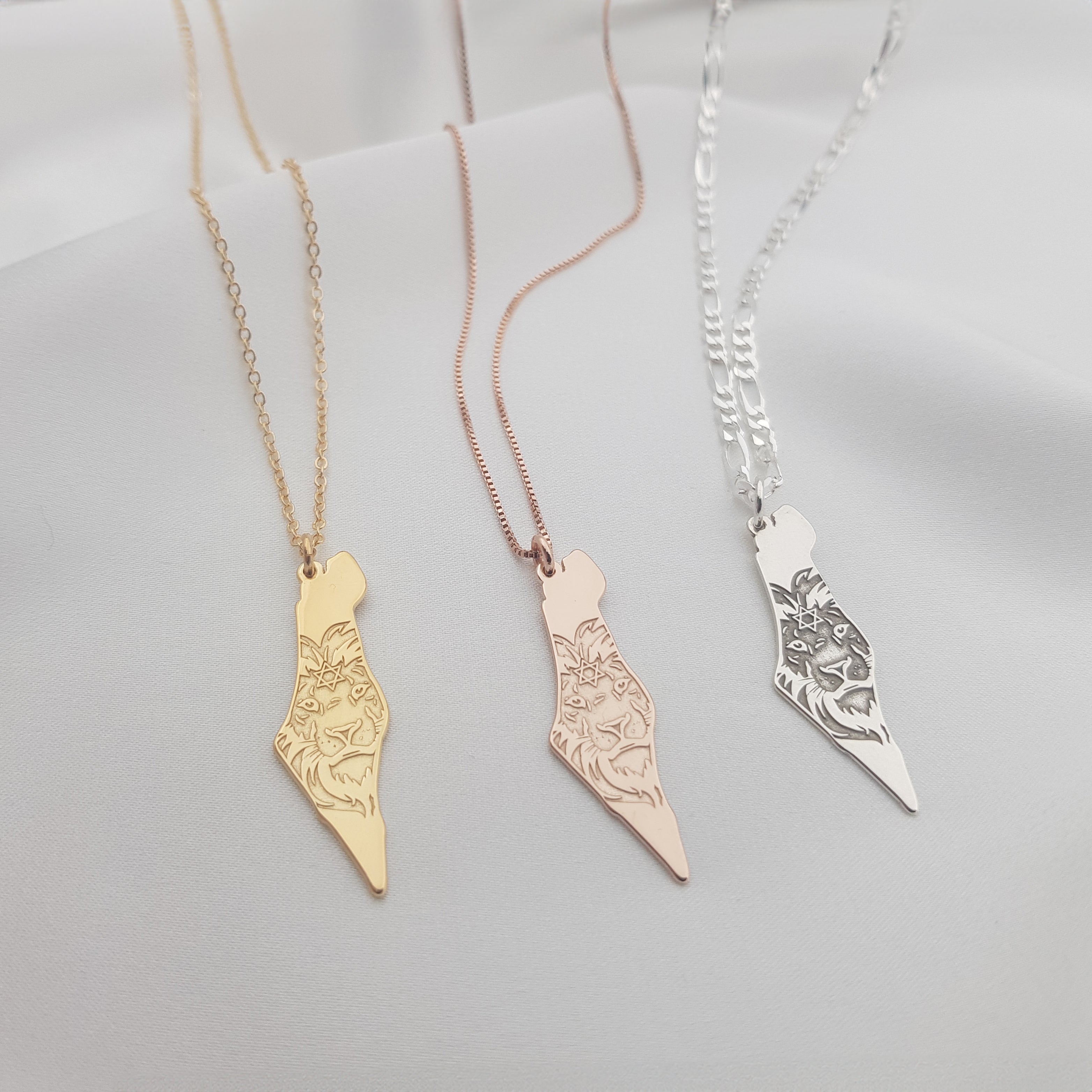 Israel Map Lion Star of David Necklace