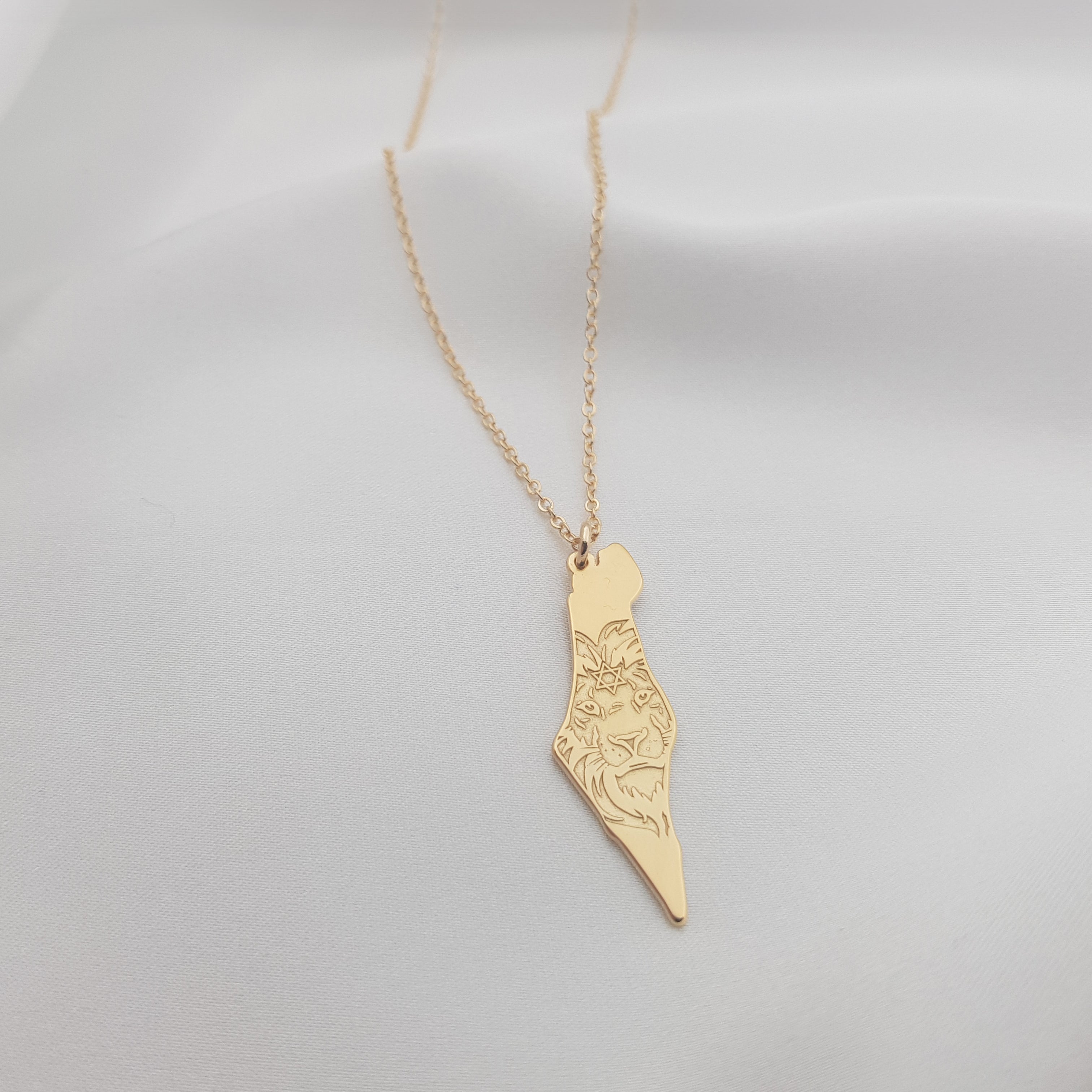 Israel Map Lion Star of David Necklace