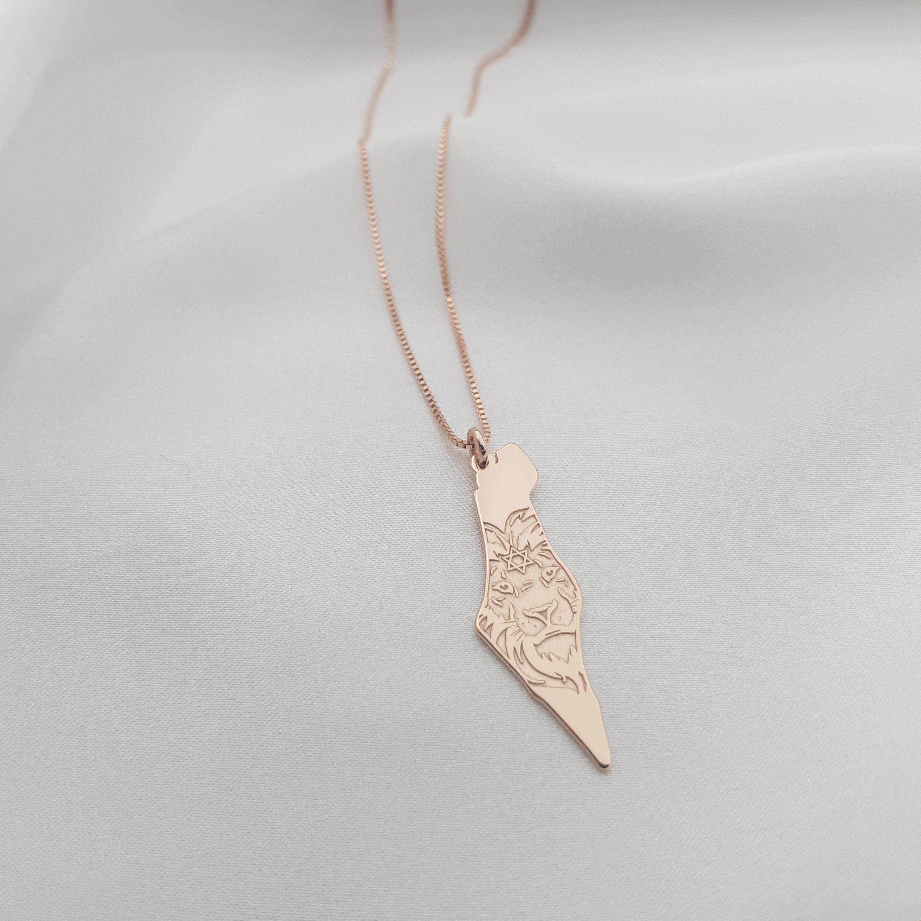 Israel Map Lion Star of David Necklace