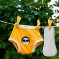 Organic potty training and bedwetting underwear 3 in 1 (ARCHIVES)