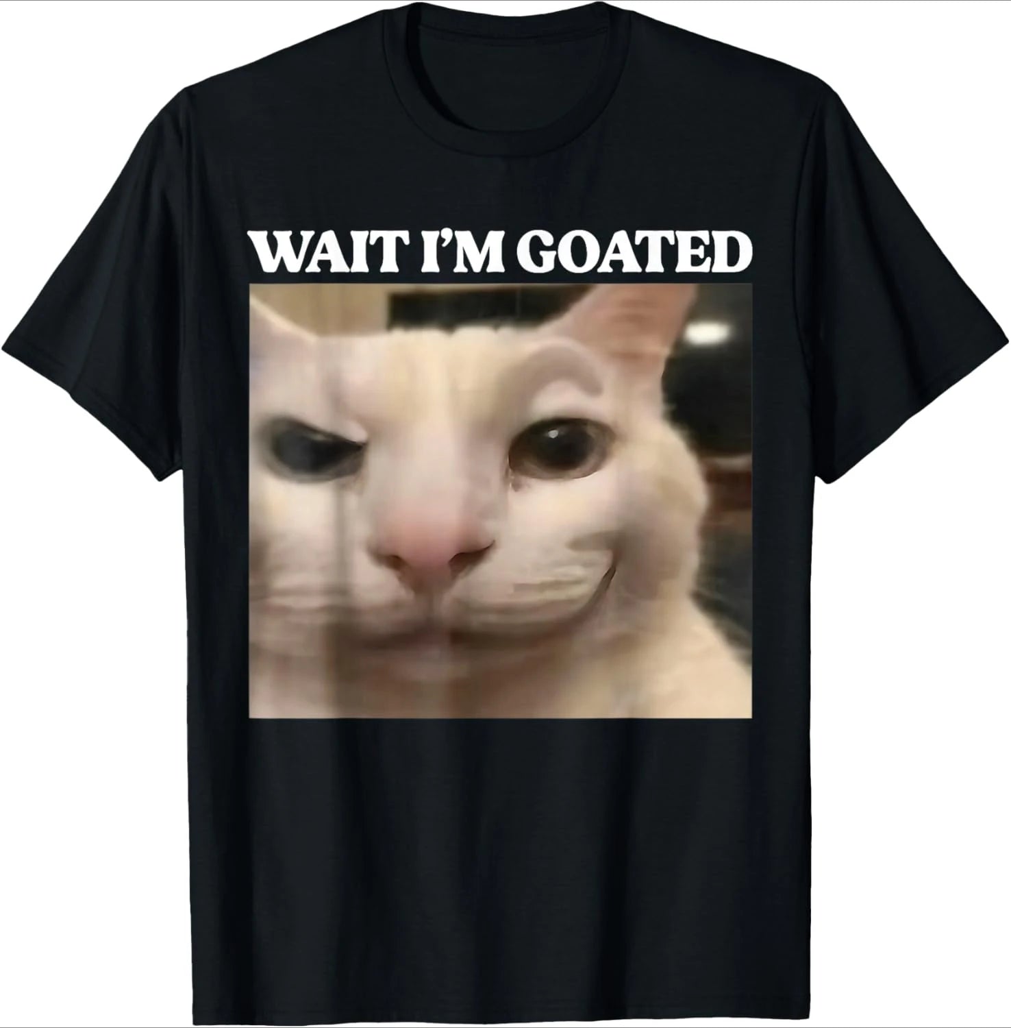 Funny Cute Jewish Cat Shabbat Shalom Wearing A Kippah Shirt Men Women Clothing Fashion Summer Streetwear Graphic T-shirts