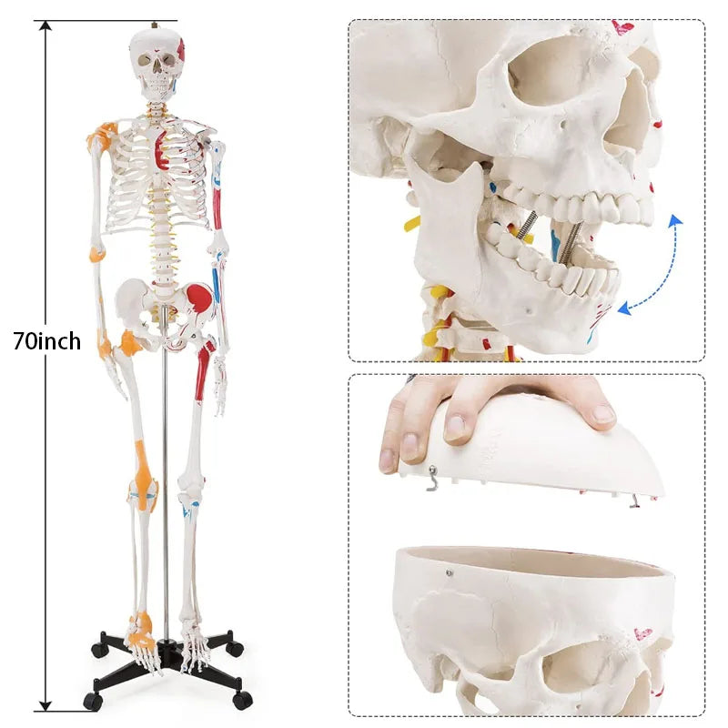 description_selected4