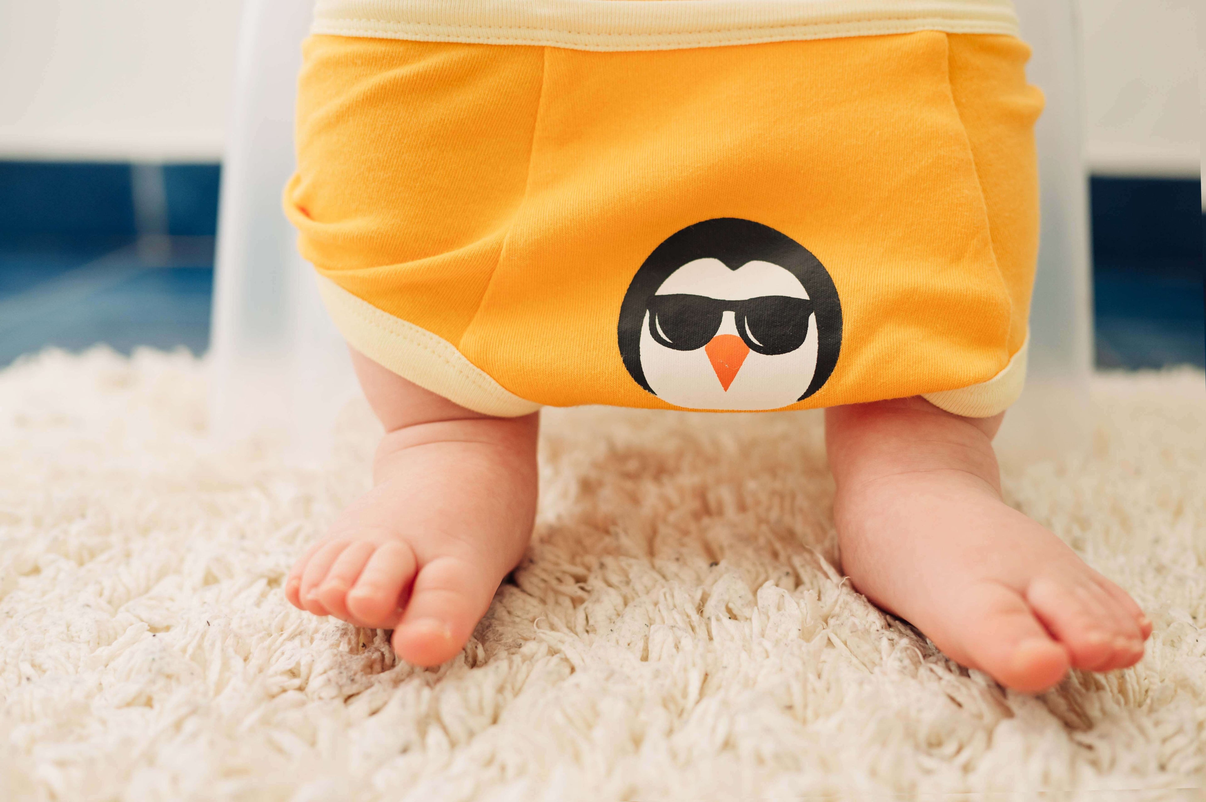 Organic potty training and bedwetting underwear 3 in 1 (ARCHIVES)